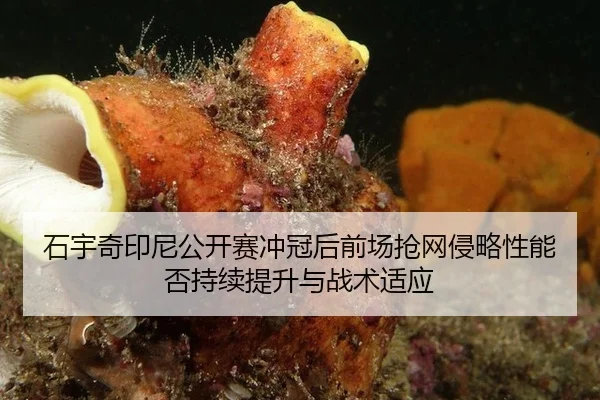 石宇奇印尼公开赛冲冠后前场抢网侵略性能否持续提升与战术适应
